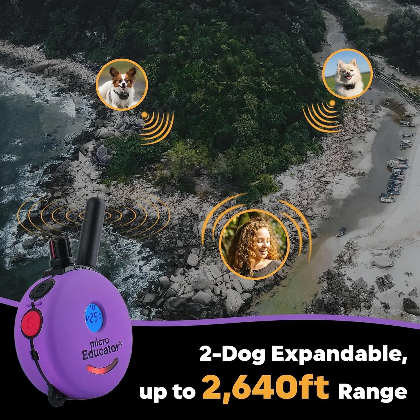 ME-300 Micro E Collar for Dog Training with Remote - 1/3 Mile Range, Waterproof, 100 Blunt Stimulation Levels, Tone