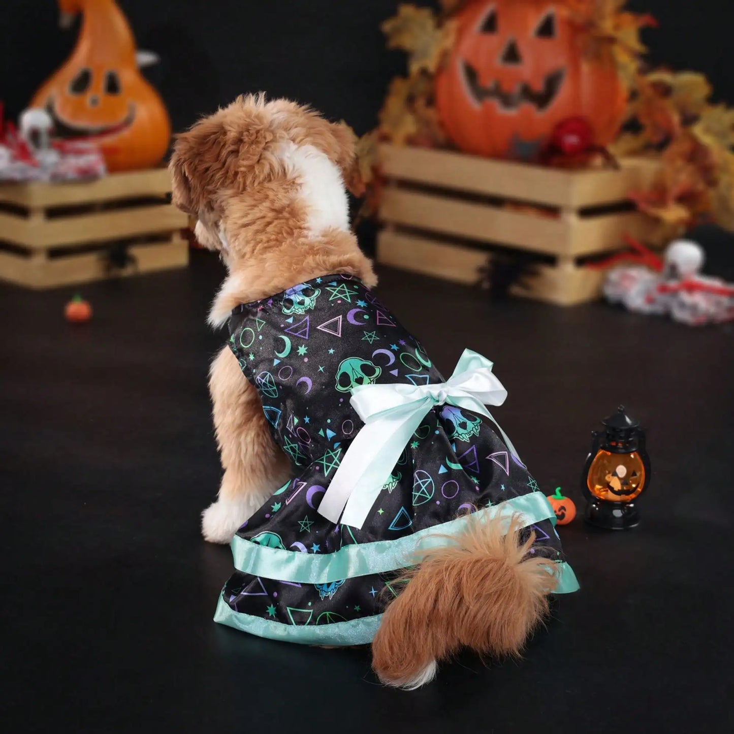 Pet Dog Dress, Funny Soft Pumpkin/Skull Print Bowknot Halloween Costume Indoor Outdoor Pet Supplies