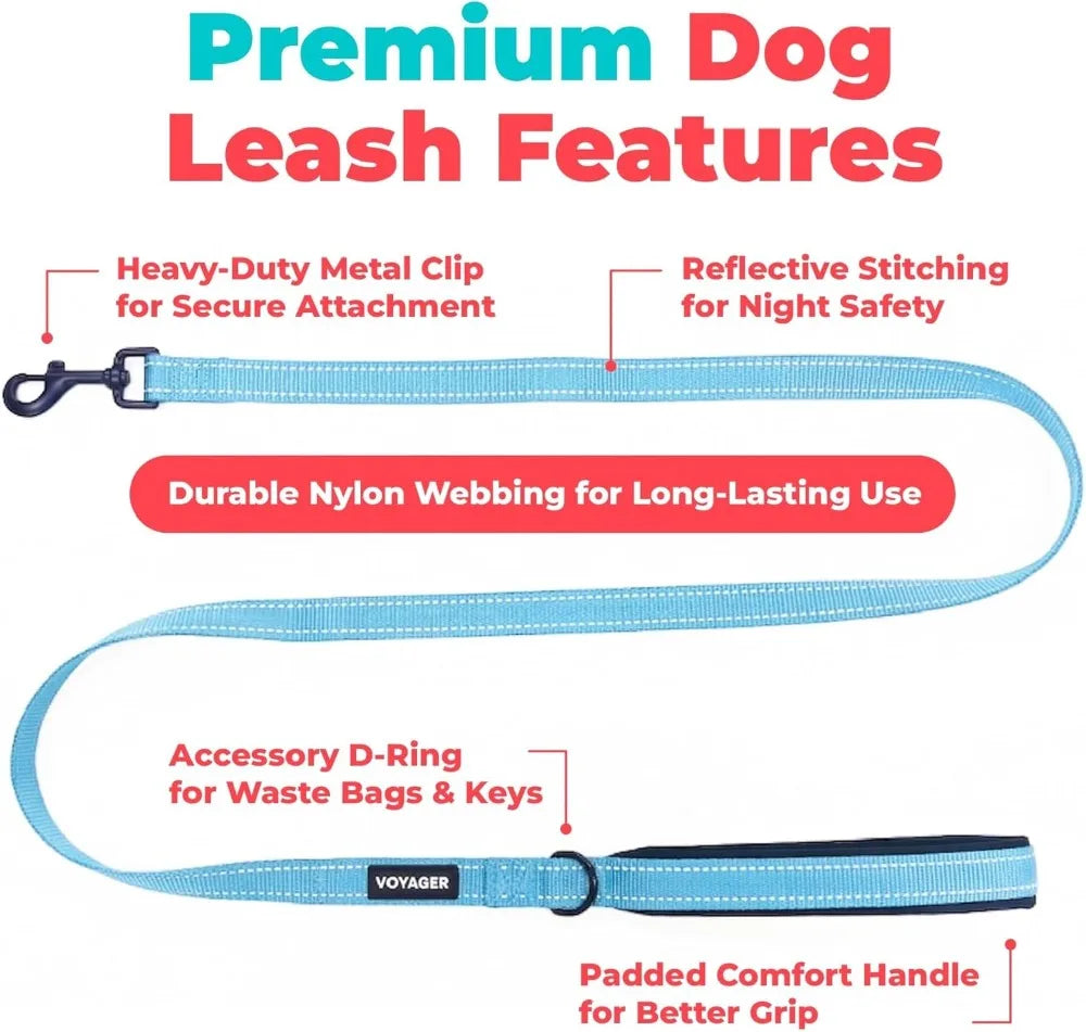 Reflective Dog Leash with Neoprene Handle, Heavy Duty Nylon, for Small to Large Dogs, Walking Running Training, Baby Blue, S