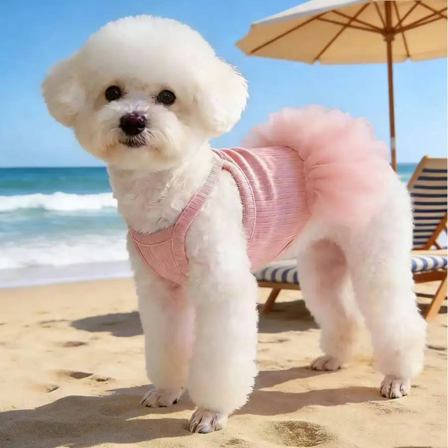 1pc Pet Dog Dress, Elegant Ballet Tulle Skirt Party Dress, Romantic Princess Dress, Suitable For Small Dogs & Cats, Lightweight For Spring/Summer