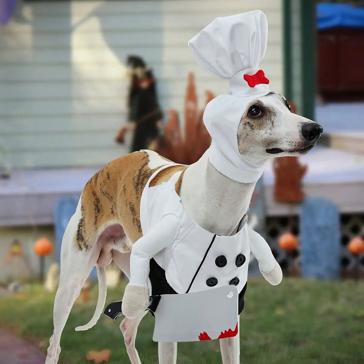 Dog Halloween Costumes, Dog Chef Costume Chef Hat Clothes Funny Holiday Clothes Outfit