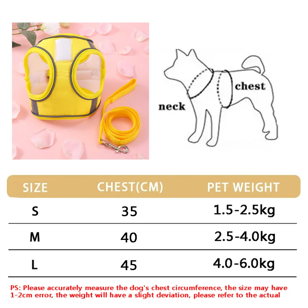 New Breathable Cute Cat Harness Set Butterfly Small Dog Harness Set Walk Outdoors Puppy Chest Vest Leash Accessories