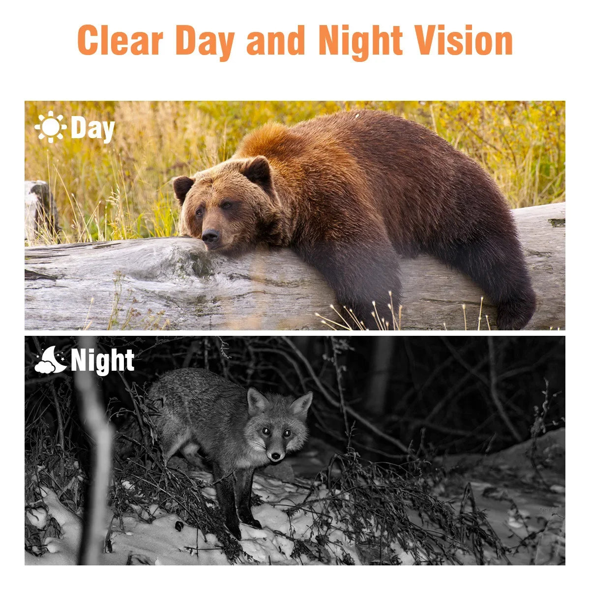 Mini301 Trail Hunting Camera 24MP 1080P Full HD Video 0.3s Fast Trigger 22PCS 850nm IR LEDs Night Vision IP65 Waterproof Wildlife Scouting Monitor Camera