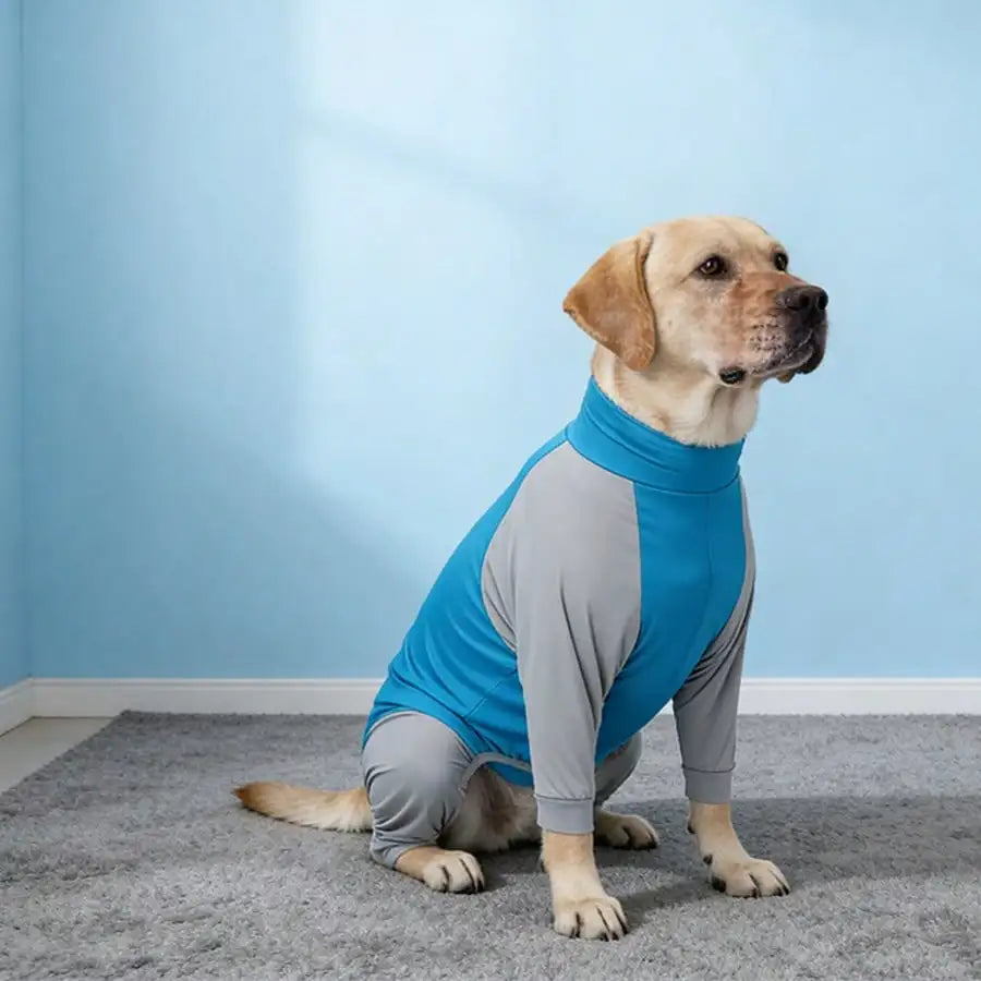 Labrador/Golden Retriever Post-Surgery Recovery Suit, Large Dog 4-Leg Anti-Shedding Sweater, Adjustable Potty Opening Unisex Design, Machine Washable, Suitable For Large Breed Dogs