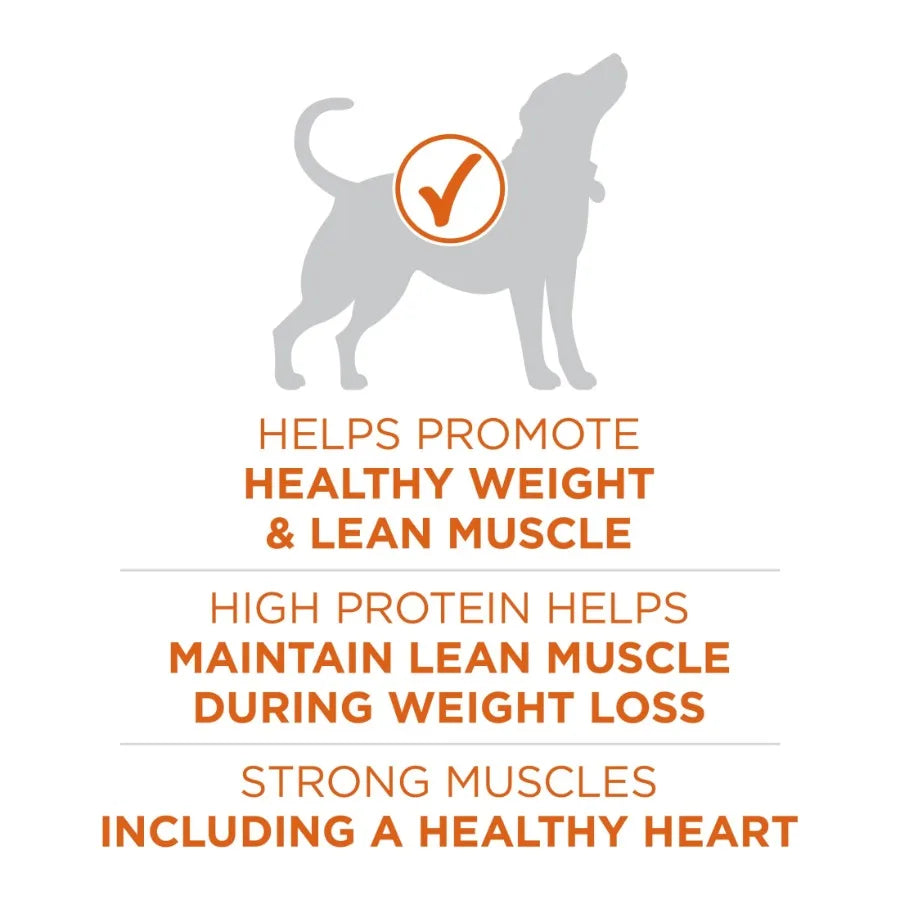 Plus Healthy Weight Dog Food Dry Formula, 8 lb.