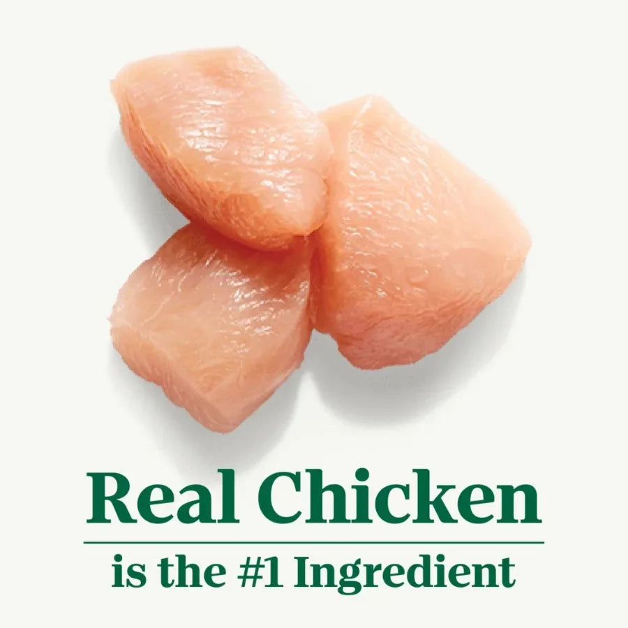 Wholesome Essentials Adult Dry Cat Food, Chicken and Brown Rice Recipe, 3 lbs.