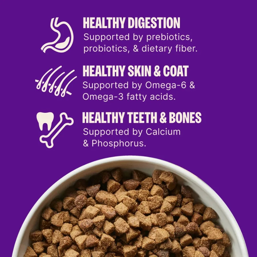 Complete Health Dry Dog Food, Small Breed, Wholesome Grains, Natural, Healthy Weight Turkey and Brown Rice Recipe, 4-Pound Bag