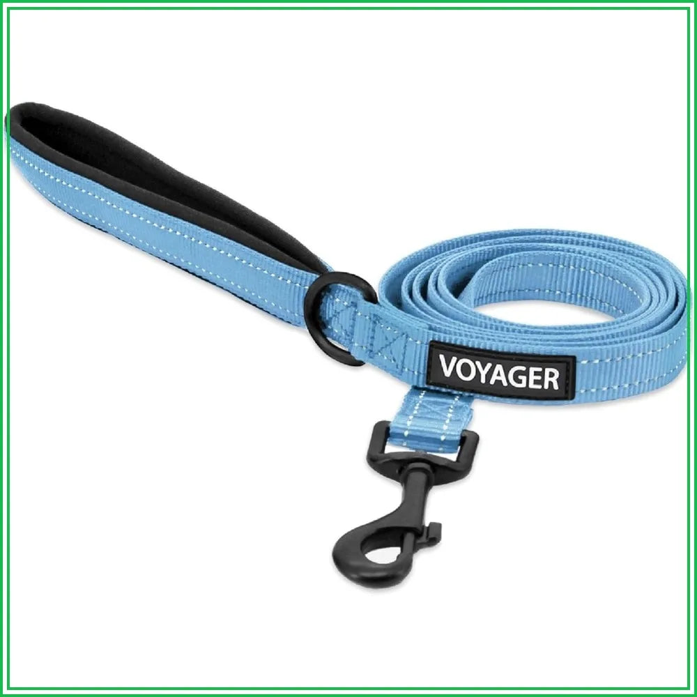 Reflective Dog Leash with Neoprene Handle, Heavy Duty Nylon, for Small to Large Dogs, Walking Running Training, Baby Blue, S