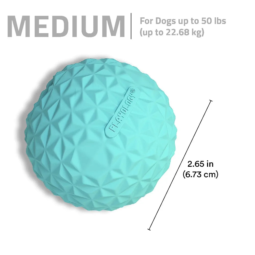 HOT SALE Interactive Dog Toys Crunchy Ball Toy 2-Pack for Dogs FUN PLAY