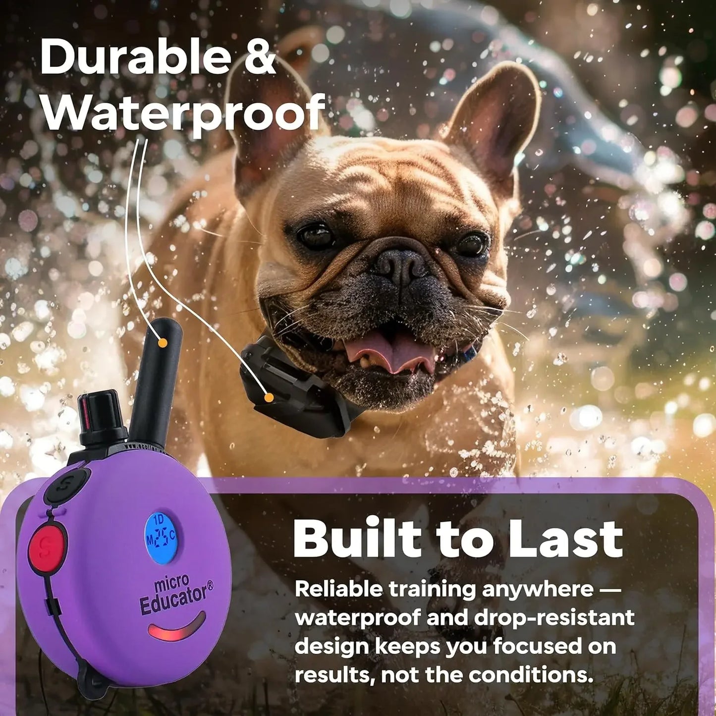 ME-300 Micro E Collar for Dog Training with Remote - 1/3 Mile Range, Waterproof, 100 Blunt Stimulation Levels, Tone