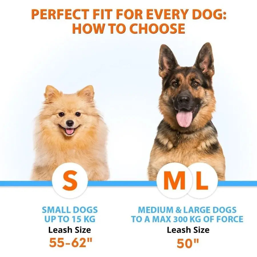 Hands Free Double Dog Leash Dual Leash for Medium and Large Breeds Lead for 2 Dogs with Padded Handles, Reflective Stitches
