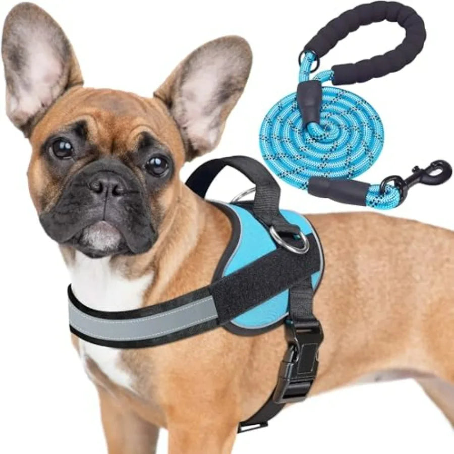 Essential Dog Harness, No Pull Pet Vest with 3 Leash Clips, No Choke, Reflective, Adjustable and Padded, for Easy Walking