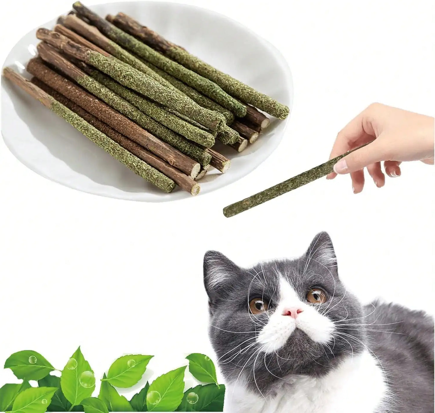 Natural Silvervine Catnip Chew Sticks (12 PC) - Edible Dental Chews For Cats & Kittens, Teething Relief Teeth Cleaning Toys