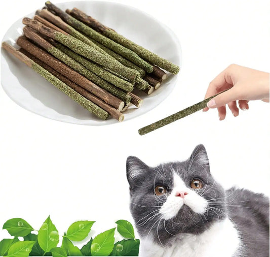 Natural Silvervine Catnip Chew Sticks (12 PC) - Edible Dental Chews For Cats & Kittens, Teething Relief Teeth Cleaning Toys