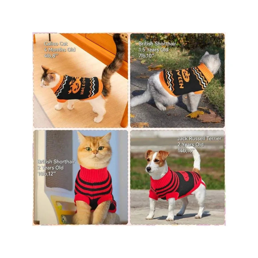 【New style】2-Pack Halloween Dog Sweater Cat Pumpkin Knitwear Clothes Costume With Cute Pumpkin Pattern Pet Warm Halloween Strip