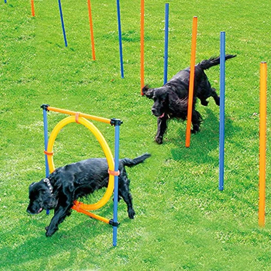 Pet Dogs Outdoor Games Agility Exercise Training Equipment Pet Training Ajustable Height Jumping Ring