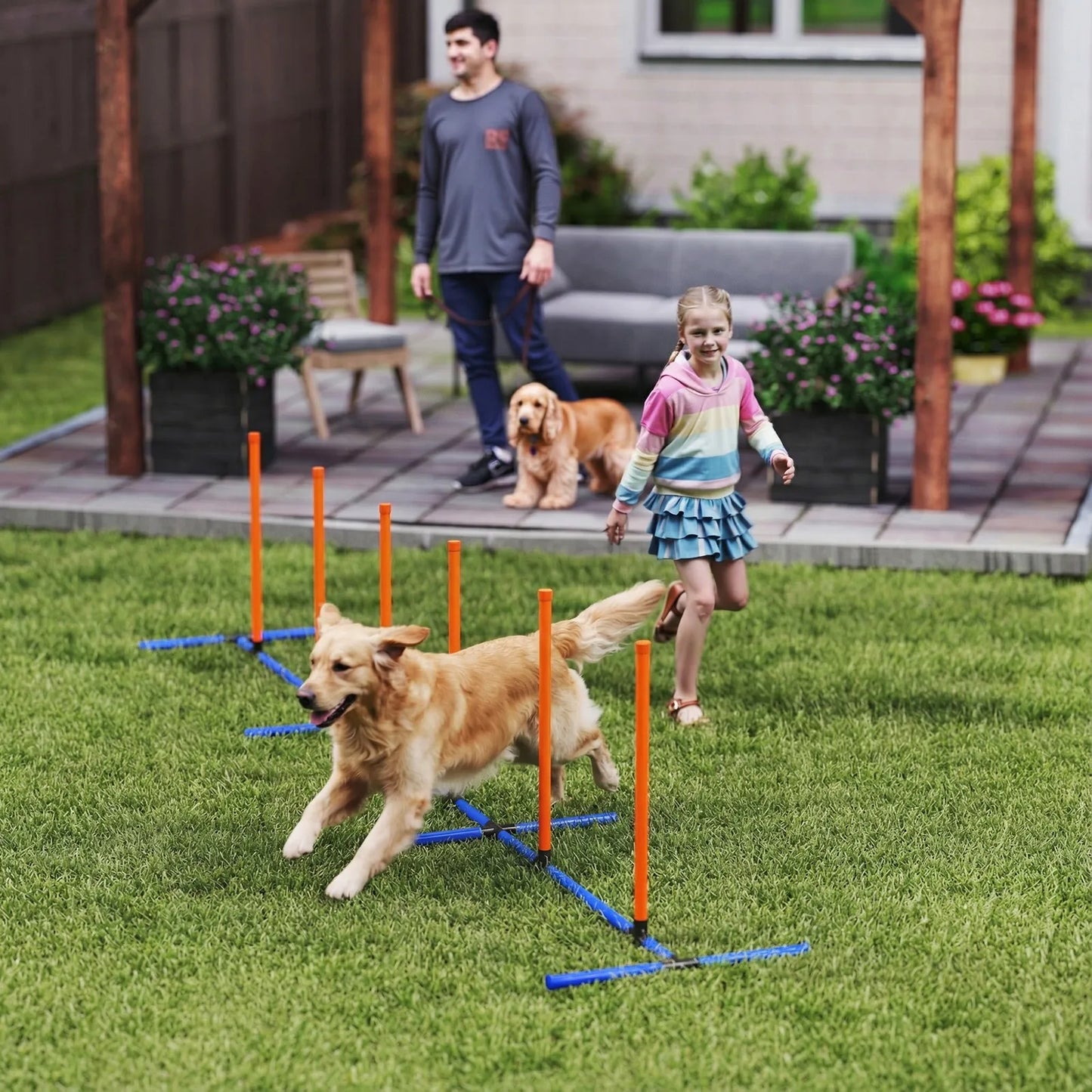 Dog Agility Training Equipment Adjustable Weaves Poles, Orange