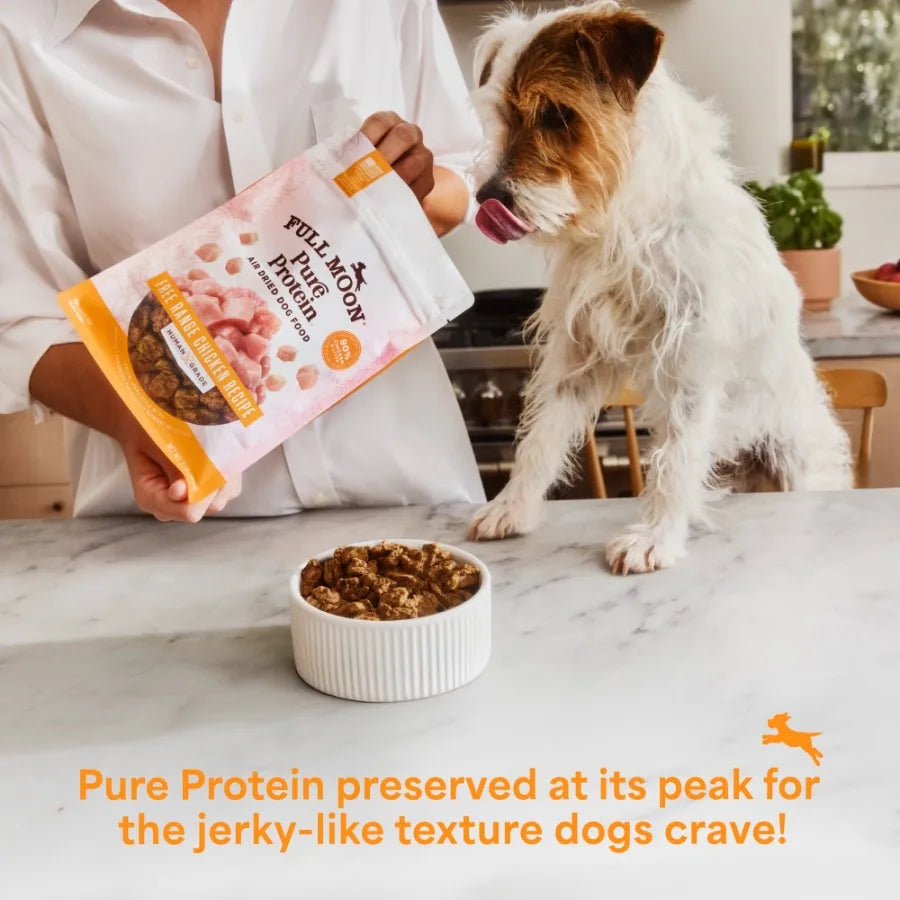 Air Dried Beef Dog Food Premium Feed, 16 Ounces