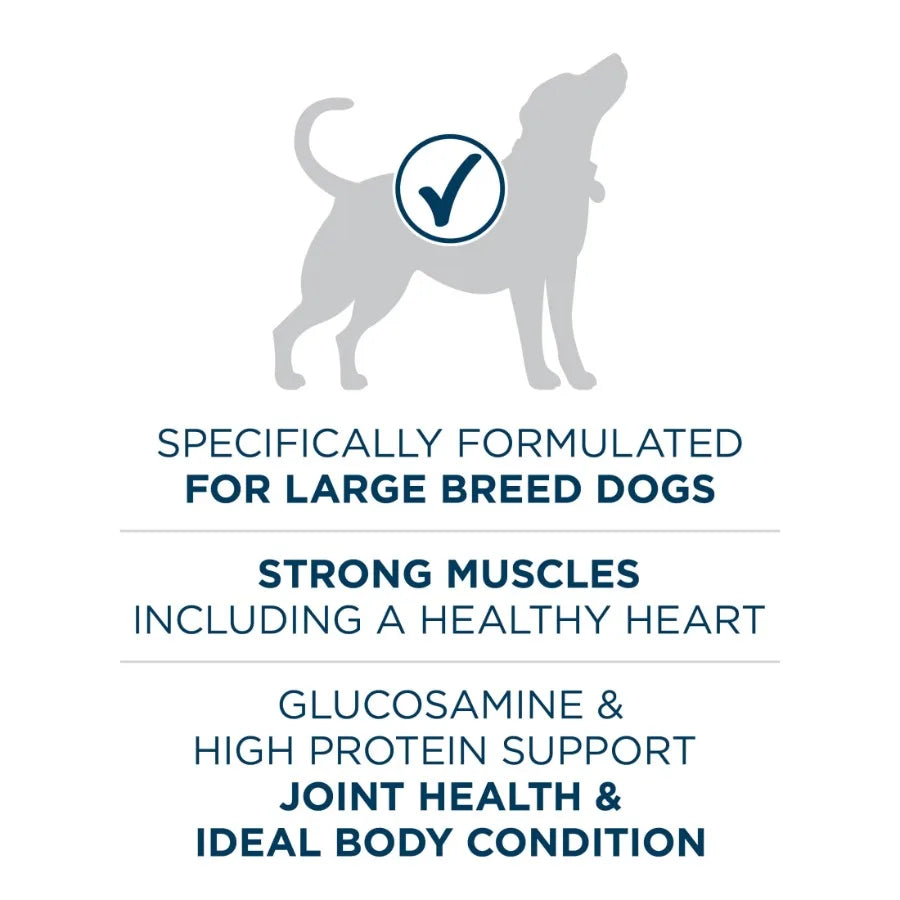 Plus Dry Large Breed Dog Food for Adult Dogs, Real Protein Rich Natural Chicken Flavor, 40lb Bag