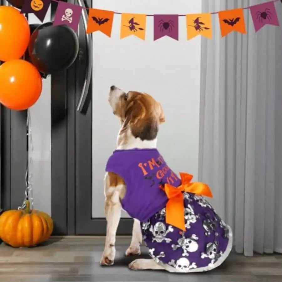 Dog Halloween Costumes Dog Dress Halloween Costumes For Dogs Funny Puppy Dress With Bow For  Dogs Pumpkin Witch Bat Pet Costume
