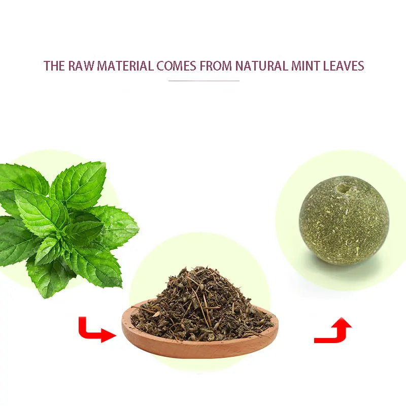 Cats Catnip Cat Toy Natural Ball Removal Cat Grass Treats to Improve Digestion Wall Sticker Scratch Itchy Treat Healthy Supplies
