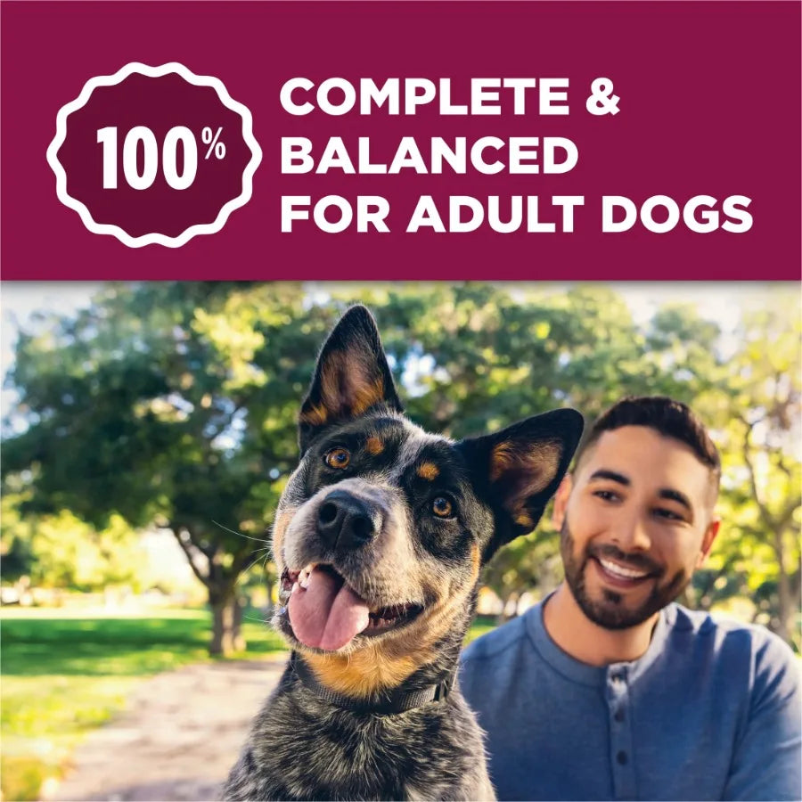 Tender and Crunchy with Real Lamb and Turkey Flavor Adult Dry Dog Food, 30 lb Bag