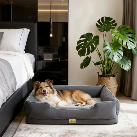 Rectangular Dog Pet Sofa Bed With Bolster Washable Couch Lounger With Flat Sponge Base Waterproof Lining Removable Cover
