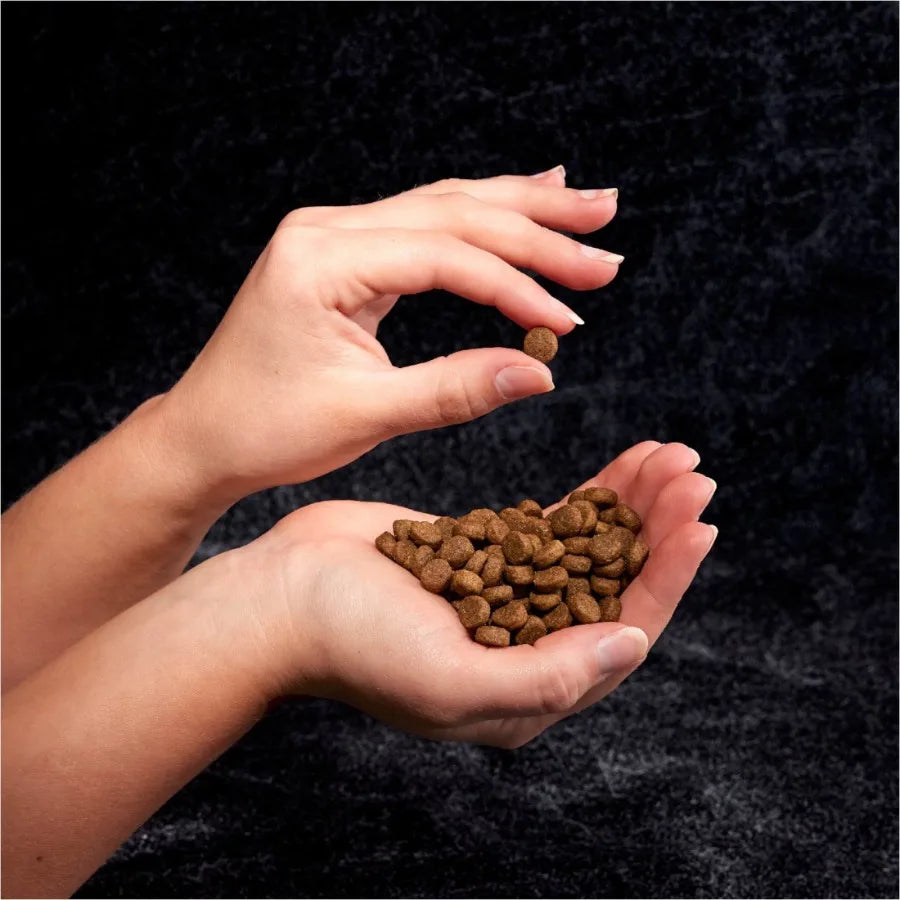 Grain Free Adult Dry Dog Food With Protein From Beef, 4 Lb. Bag