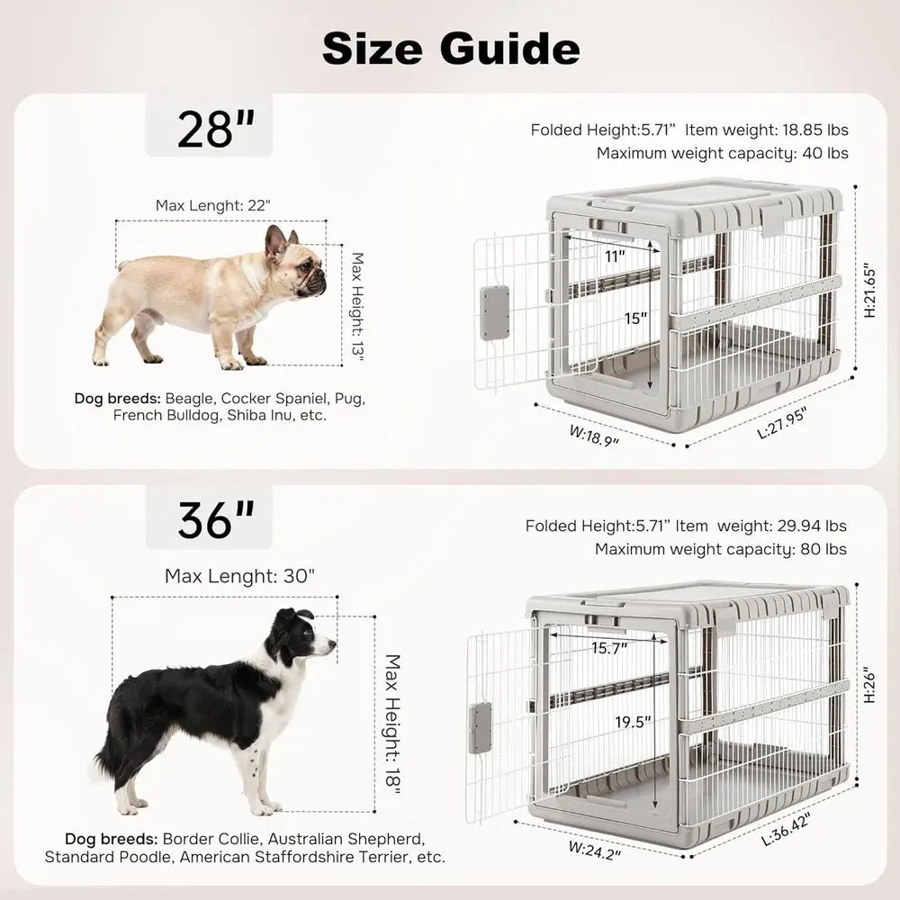 Collapsible Dog Crate or Large Dogs - 36" L Heavy Duty Dog Kennel No Tools Required with 4 Sides Steel Foldable Cage for Dogs
