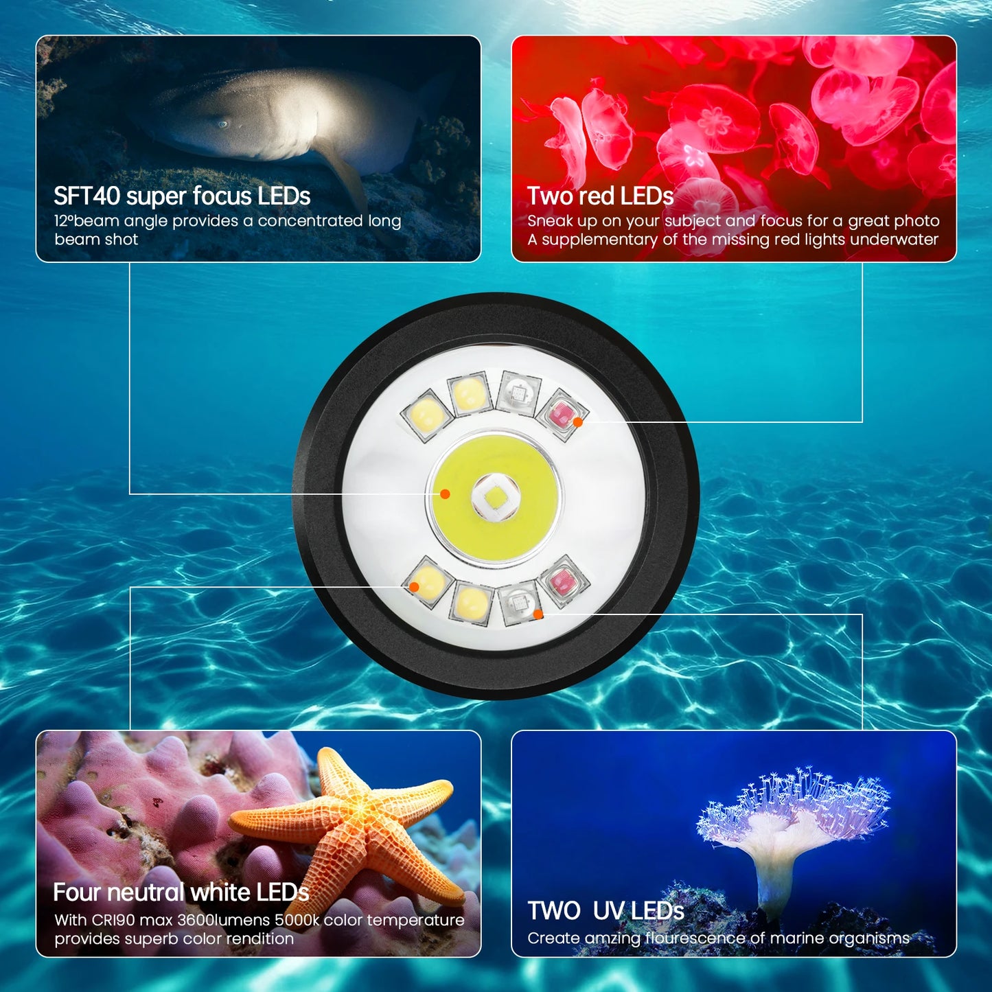 DL08 Powerful 3600lm Flashlight 21700 Rechargeable Diving Light with Rotary Magnetic Switch 6500K Underwater Torch IP68