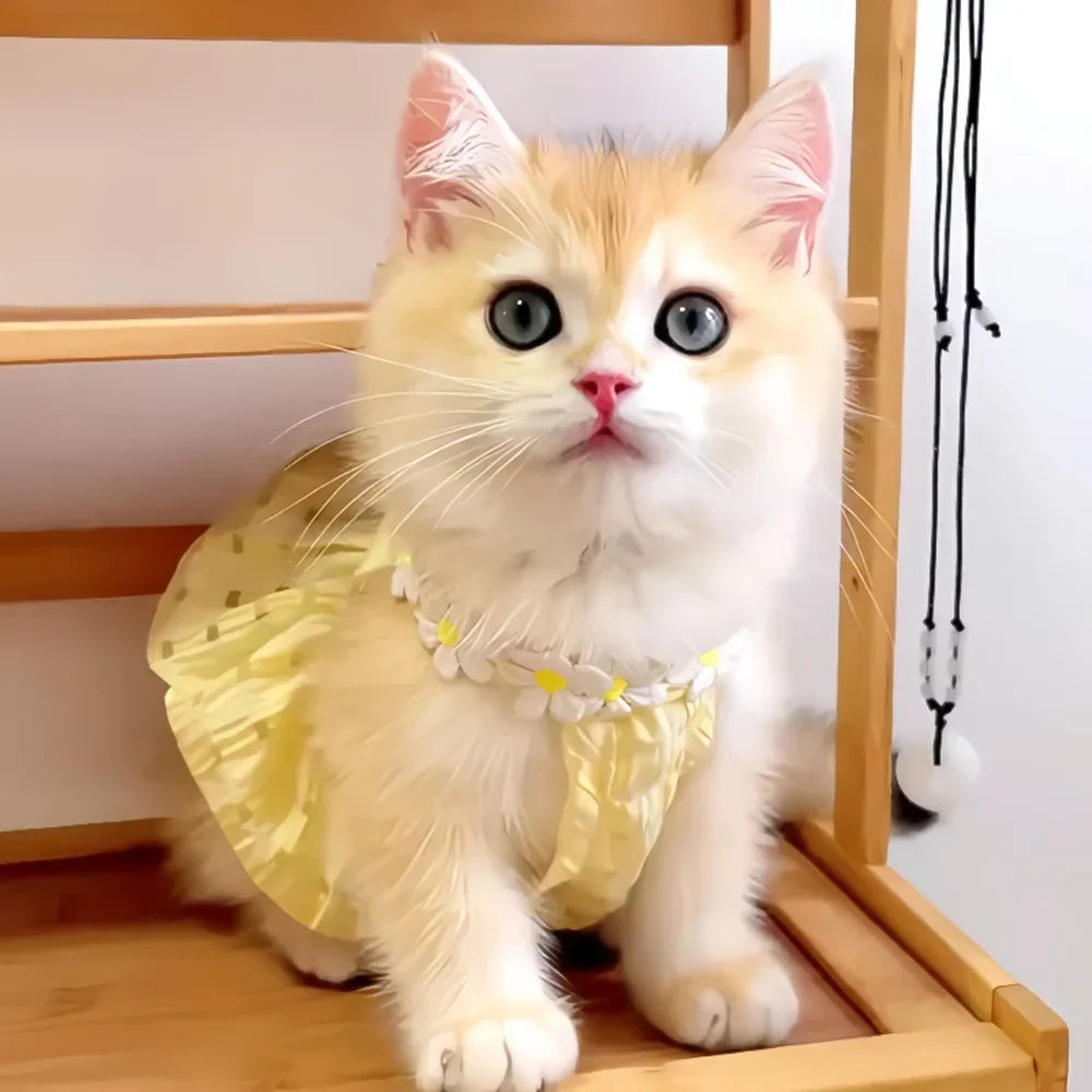 Breathable Cat Skirt Floral Wreath Collar Pretty Cute Small Dog Skirt Thin Small Dog Dress Mini Puppy Princess Dress
