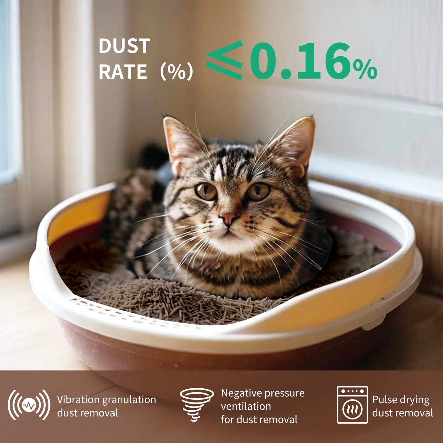 Cat Litter Low Tracking & Flushable 99% Odor Elimination 8X Water Absorption & 98% Solid Clumping