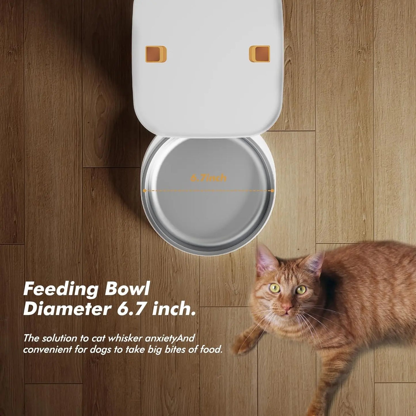 8L Automatic Cat Feeder, Smart Pet Food Dispenser with Key Control, Voice Recorder, Dual Power Supply, Timed Auto Dog Feeder with Stainless Steel Bowl