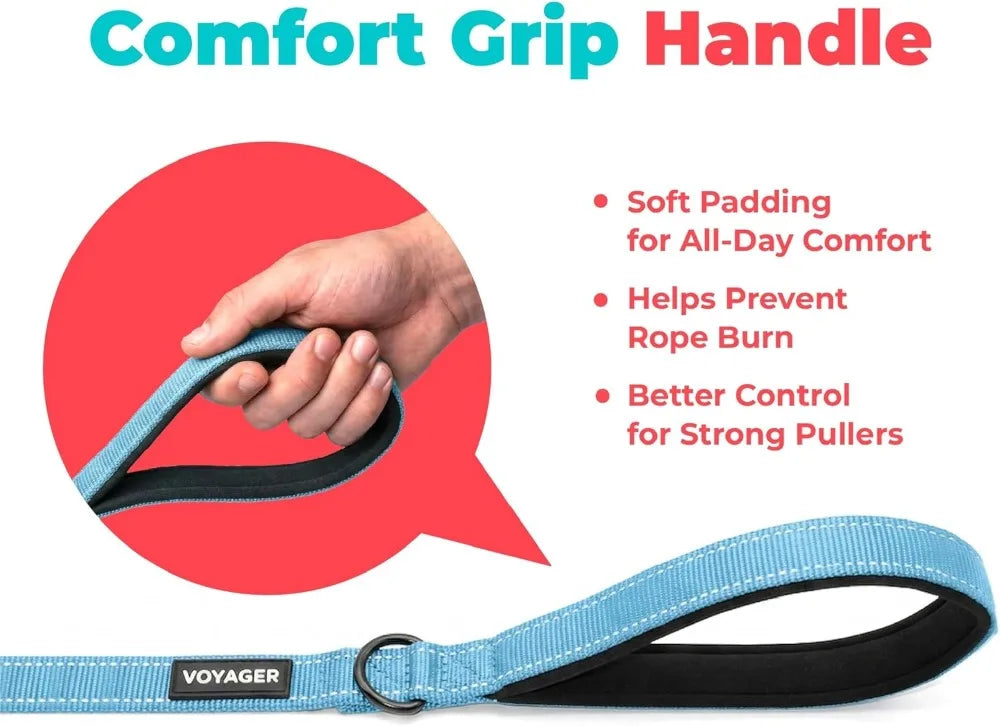 Reflective Dog Leash with Neoprene Handle, Heavy Duty Nylon, for Small to Large Dogs, Walking Running Training, Baby Blue, S