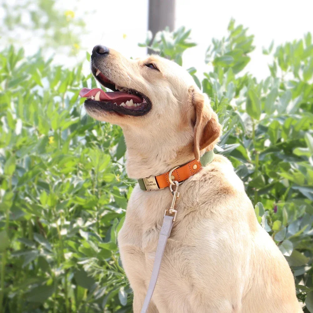 Nylon Custom Dog Puppy Collar Leash Set Personalized Genuine Leather Pet Nameplate ID Tag Accessories Collars Pet Products