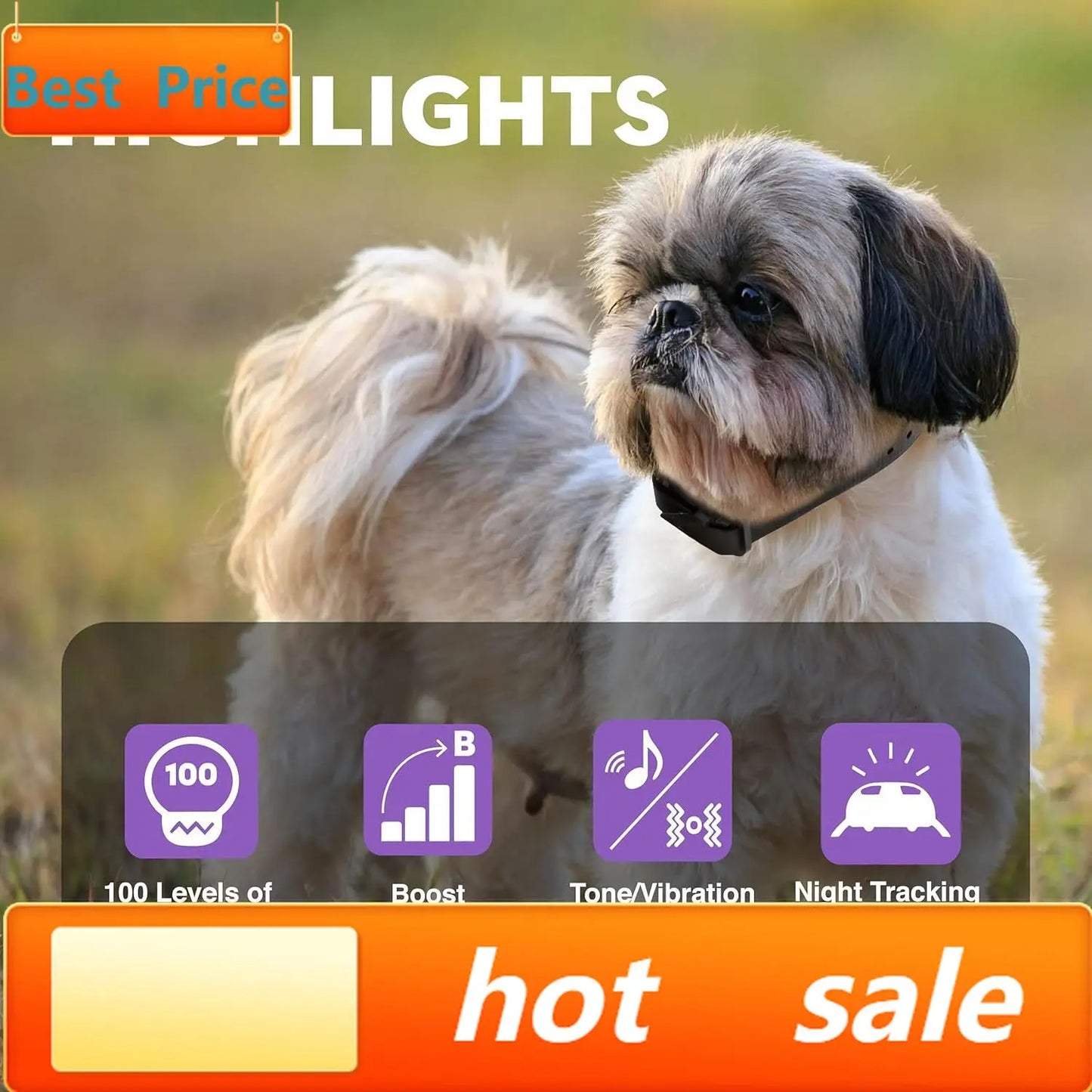 ME-300 Micro E Collar for Dog Training with Remote - 1/3 Mile Range, Waterproof, 100 Blunt Stimulation Levels, Tone