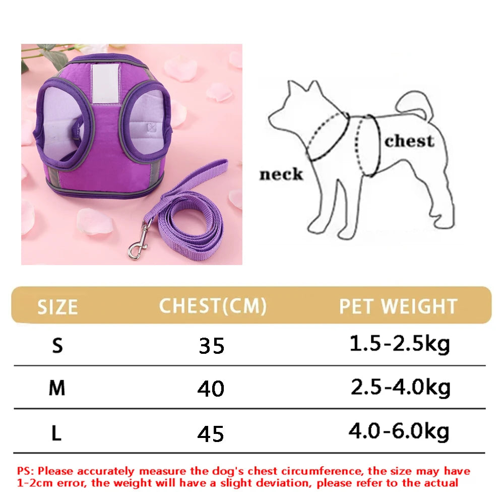New Breathable Cute Cat Harness Set Butterfly Small Dog Harness Set Walk Outdoors Puppy Chest Vest Leash Accessories