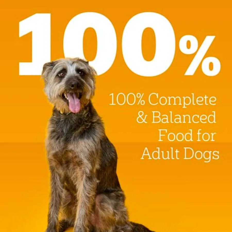 Chopped Ground Dinner Wet Dog Food Filet Mign and Beef Variety Pack, Canned Dog Food, 13.2 oz. Cans