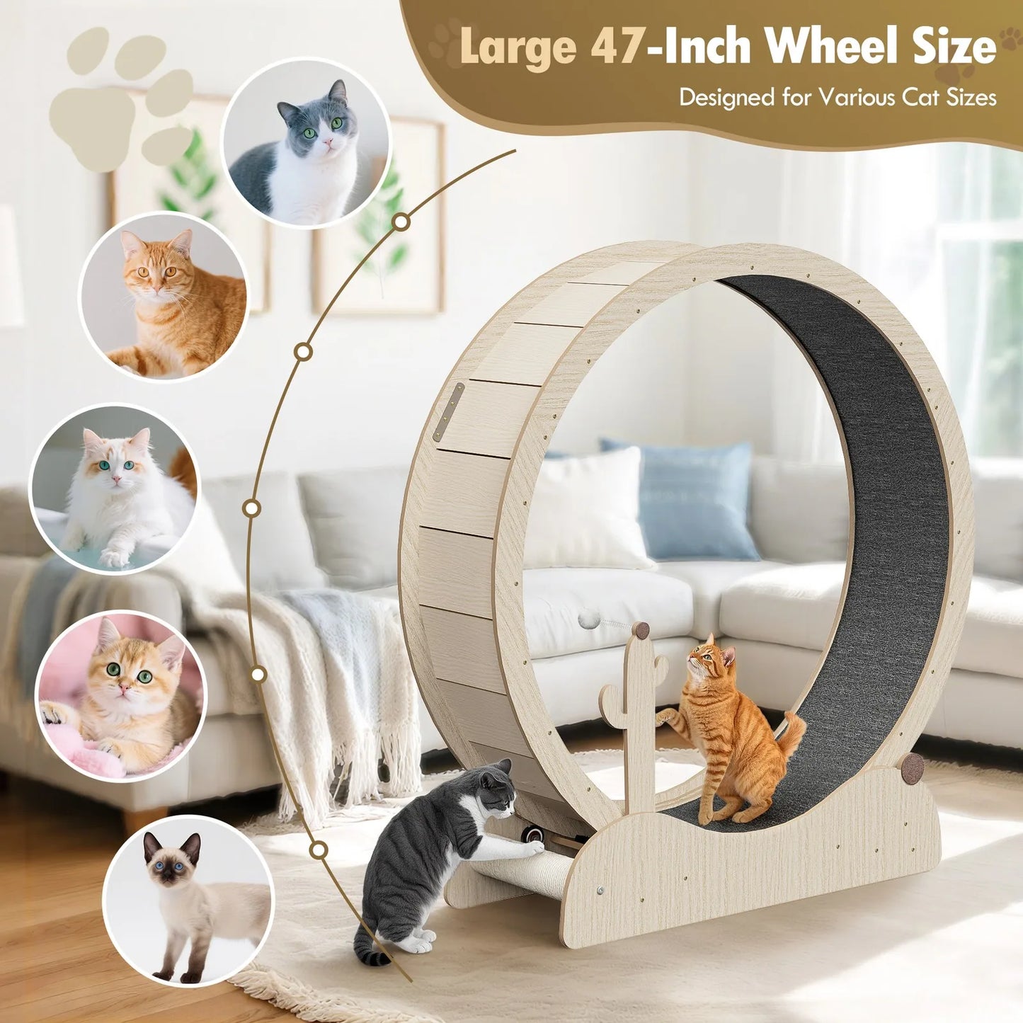 Cat Exercise Wheel 47"Cat Running Treadmill Wheel w/Locking Mechanism Cat Teaser