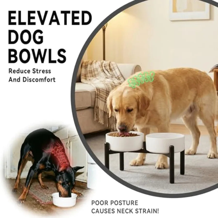 Dog Bowls Elevated - Ceramic Raised Dog Bowl with Non Slip Steel Stainless Stand - No Spill and Heated Feeding Station