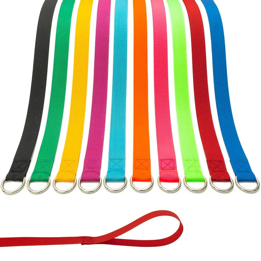 Lead Dog Leash 20 pcs Colorful 6 FT Short Dog Leashes with ORing for Small Large Dogs Puppy Cats Walking Training Running Rescue