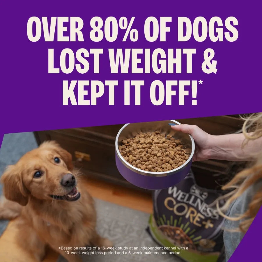 CORE Dry Dog Food, Grain Free, High Protein, Natural, Healthy Weight Turkey and Chicken Recipe, 4-Pound Bag