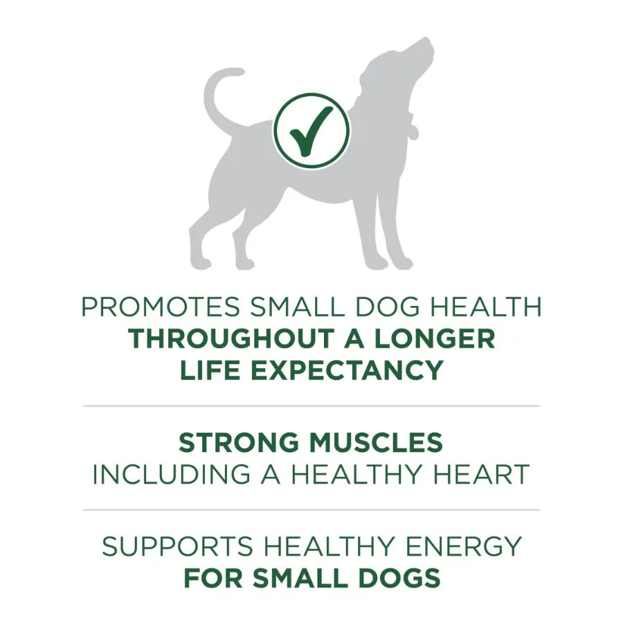 Plus Small Breed Lamb and Rice Formula Dry Dog Food 7.4 lb. Bag