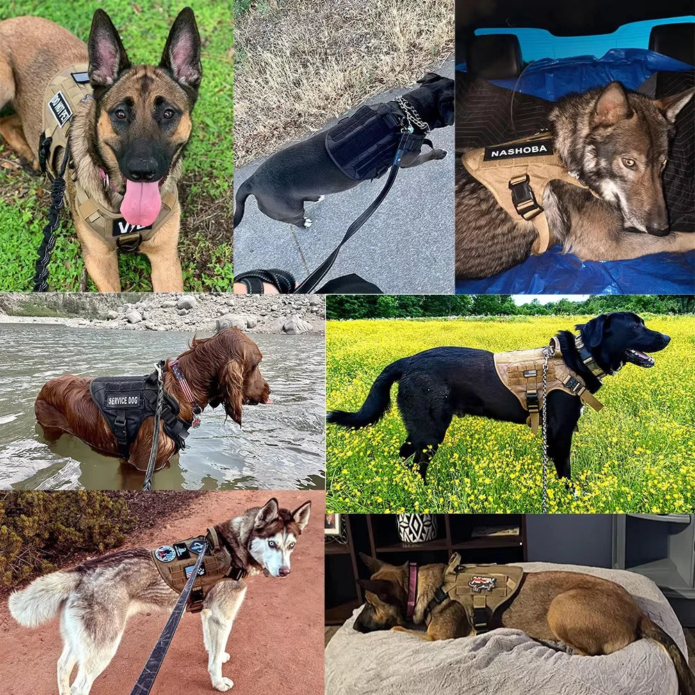 Tactical Dog Harness Collar And Leash Set Adjustable Training Walking Vest For Medium Large Dogs German Shepherd Malinois Outdoor Use