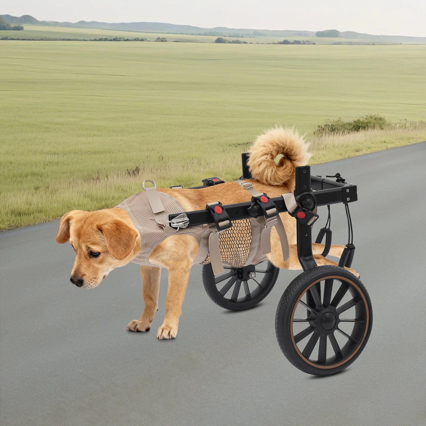 Pet Walking Aid Adjustable Dog Wheelchairs 2-Wheel Pet Rehabilitation Walking Aid Portable Walk Trolley Tools for Hind-Leg Support