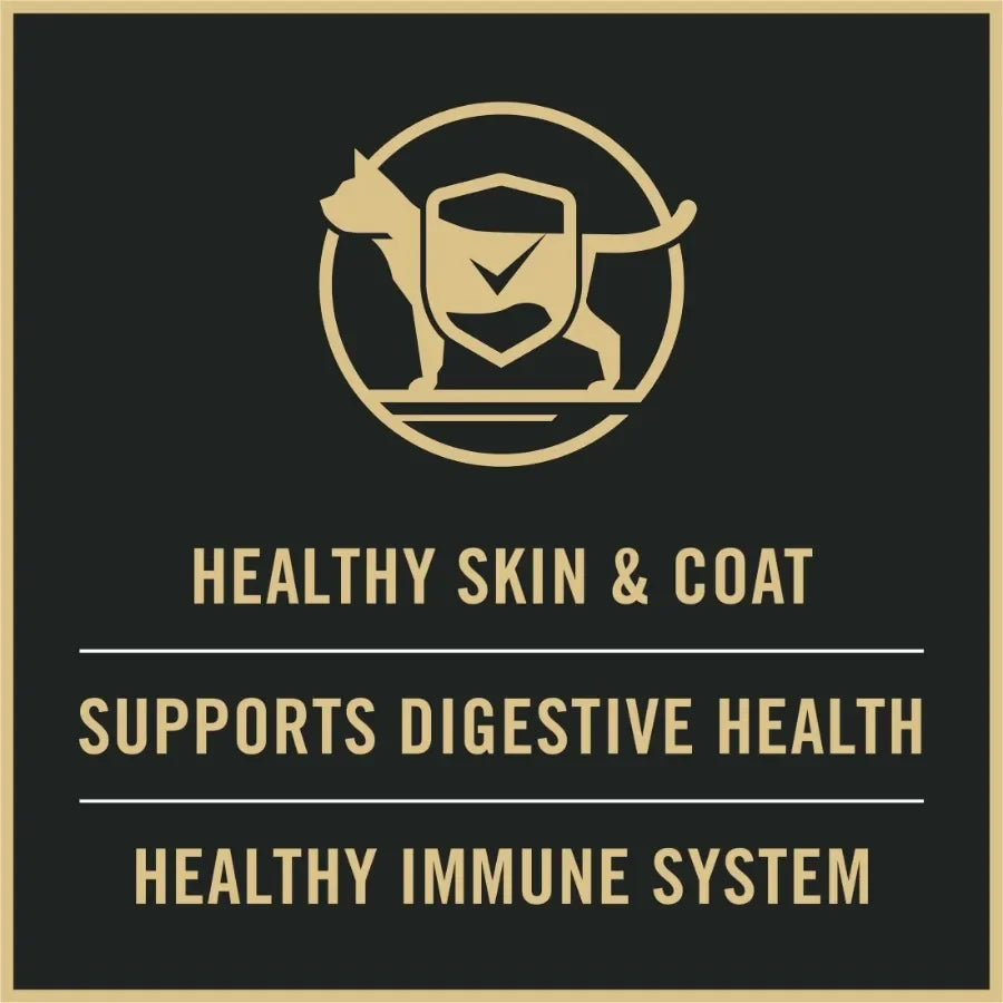 Cat Food Sensitive Skin and Stomach Lamb and Rice Dry Formula