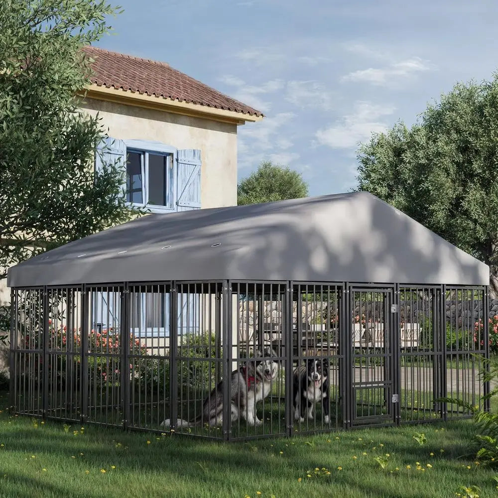 Durable 10 FT x 10 FT Outdoor Dog Kennel with Feeding Door, Roof, and Double Safety Locks