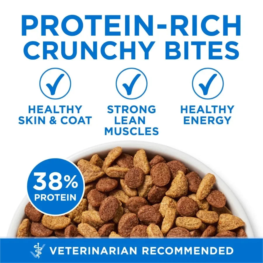 Plus Natural High Protein Dry Cat Food Salmon and Ocean Whitefish Skin and Coat Health Formula, 7 lb Bag