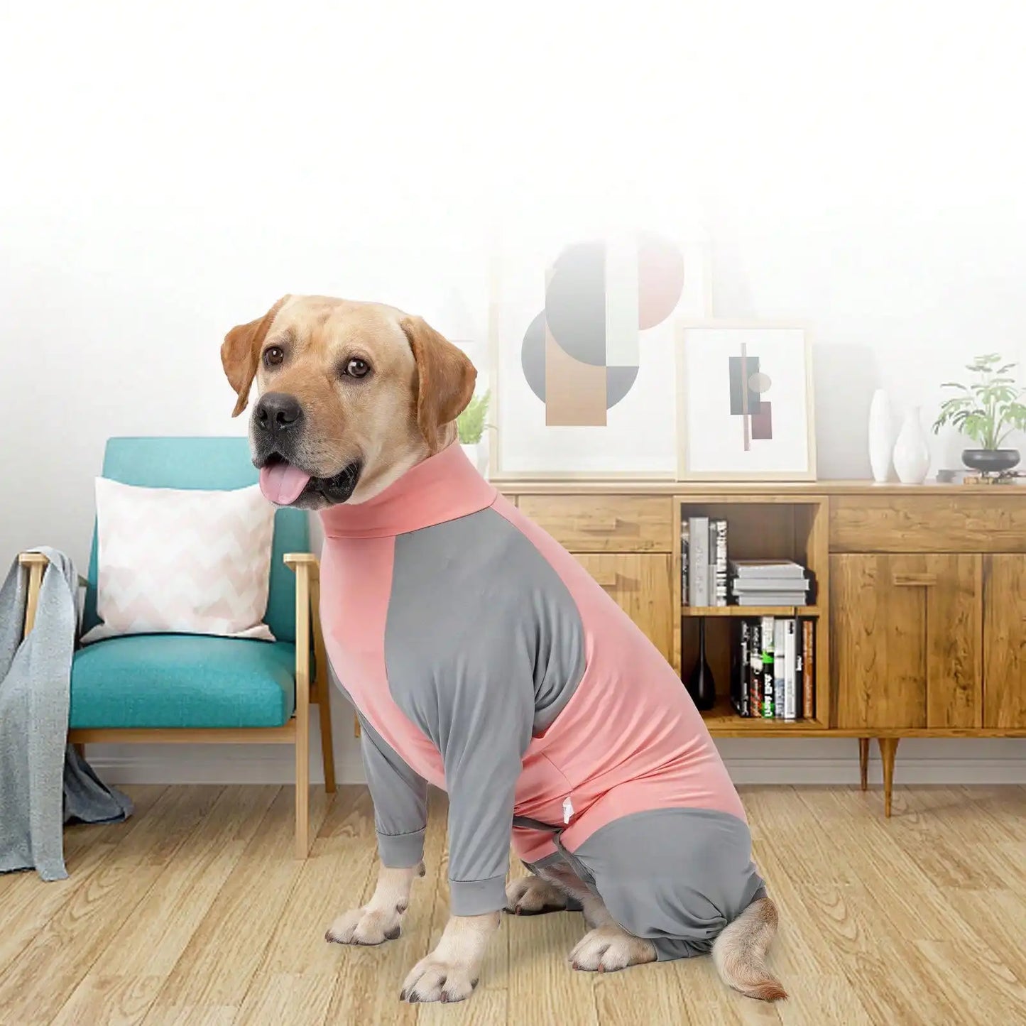 Labrador/Golden Retriever Post-Surgery Recovery Suit, Large Dog 4-Leg Anti-Shedding Sweater, Adjustable Potty Opening Unisex Design, Machine Washable, Suitable For Large Breed Dogs