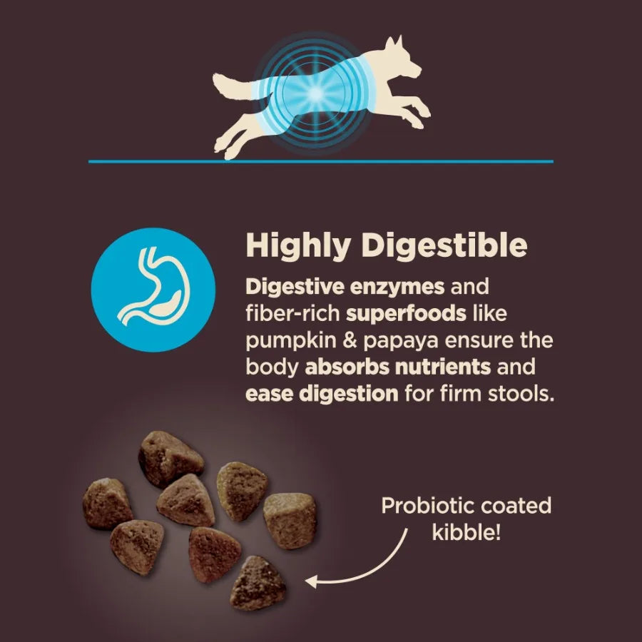 CORE Digestive Health Adult Dry Dog Food, Wholesome Grain Kibble, Sensitive Stomach, Natural, High Protein, Chicken Free, White